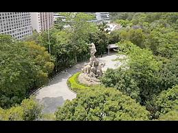 新东方宣传