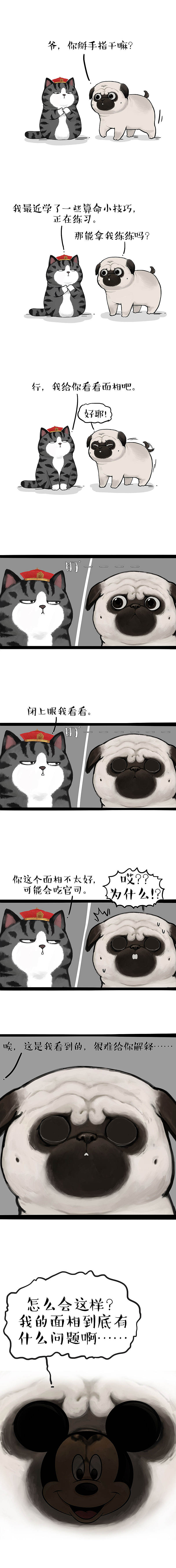 会算命的猫，眼神那是特别的好（图ZMjg1MzA5NjA4） - 中/长篇漫画 - 站酷设计师吾皇的白茶原创素材 - 站酷ZCOOL
