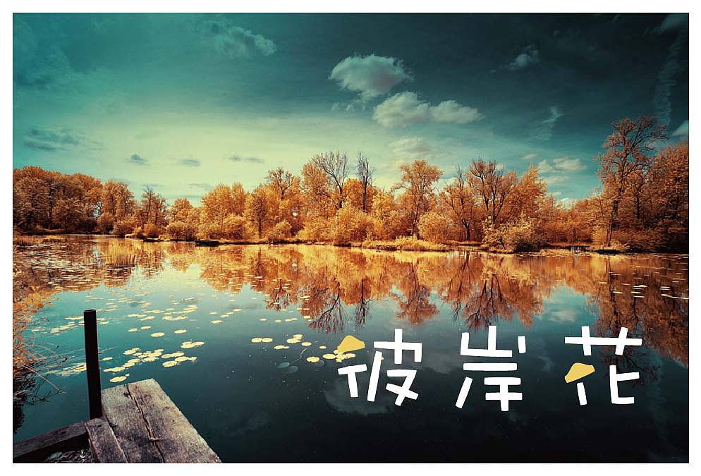 最近做的练习，越做感觉越迷茫......（图ZNzU2MjI0NA==） - 字体/字形 - 站酷设计师布丰原创素材 - 站酷ZCOOL