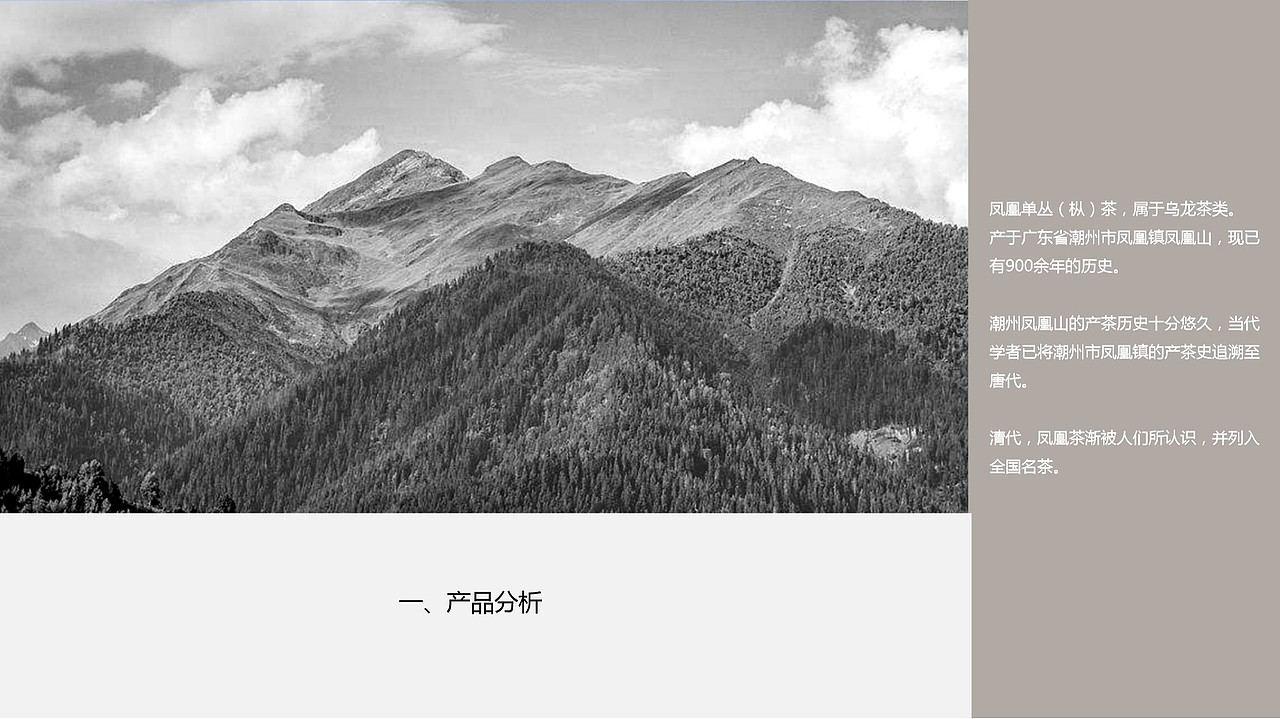 潮汕之《凤凰单枞茶》（图ZMTY1MTU3NjE2） - 其他平面 - 站酷设计师RACHEL金桔柠萌原创素材 - 站酷ZCOOL