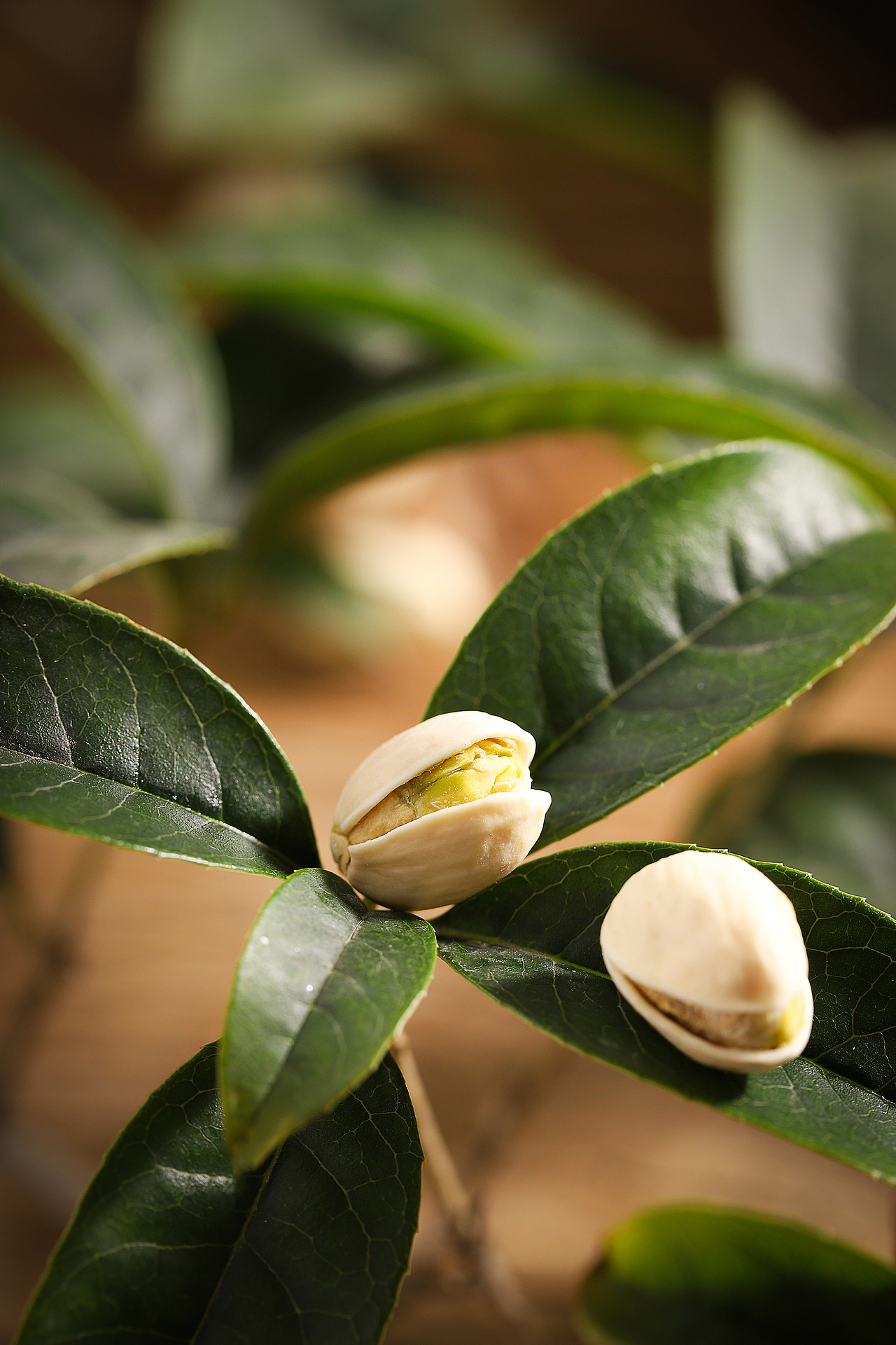 开心果|摄影|产品摄影|信月轩视觉工作室_原创作品-站酷zcool