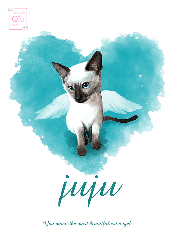 juju是最美的猫天使~
