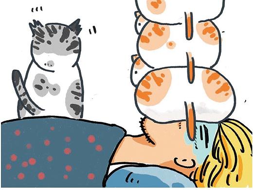 清晨，叫醒加班狗的方法