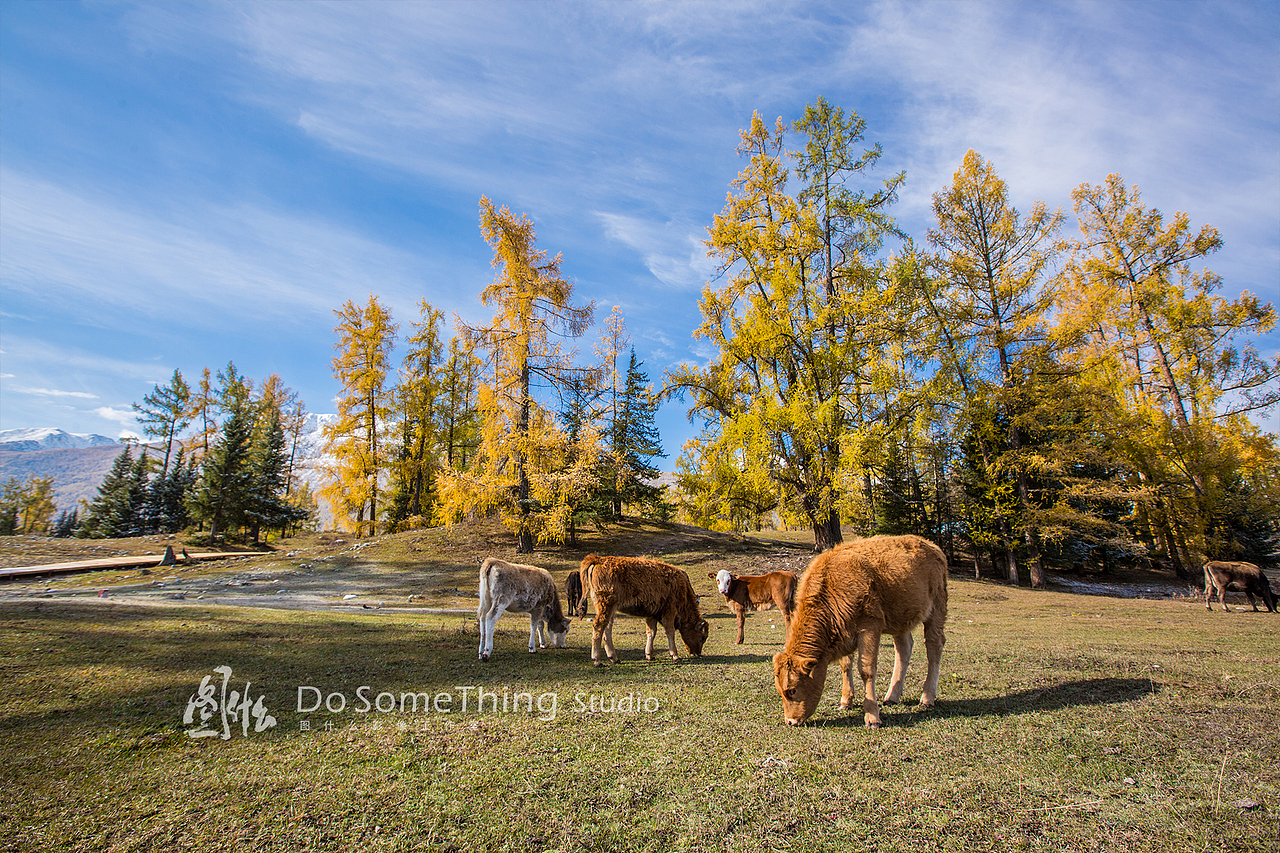 北疆行迹（图ZOTQwODY2MDA=） - 风光摄影 - 站酷设计师kiwihello原创素材 - 站酷ZCOOL