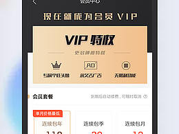 組件庫--會員支付頁