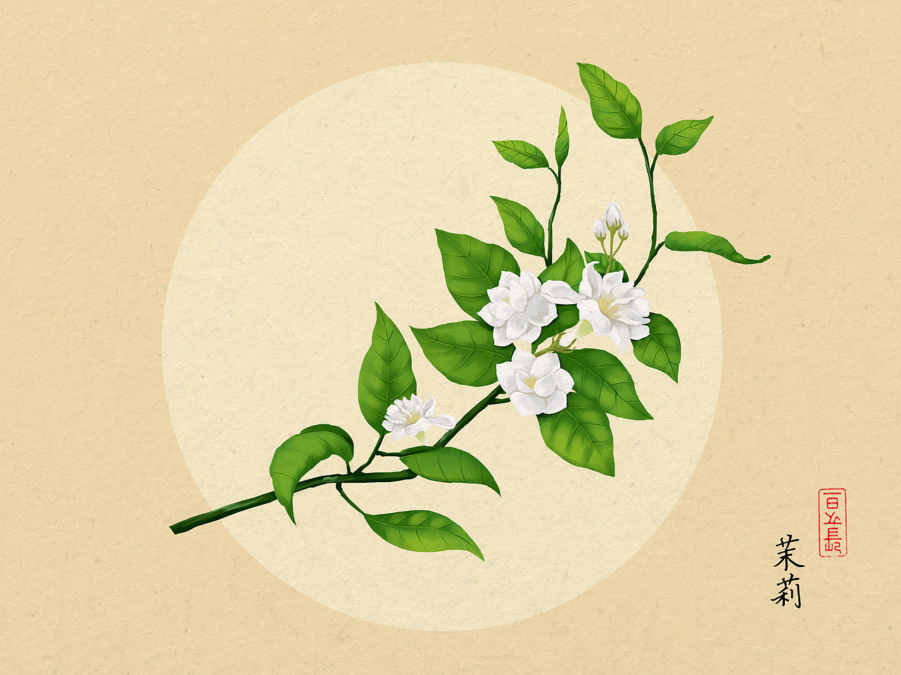 植物插画