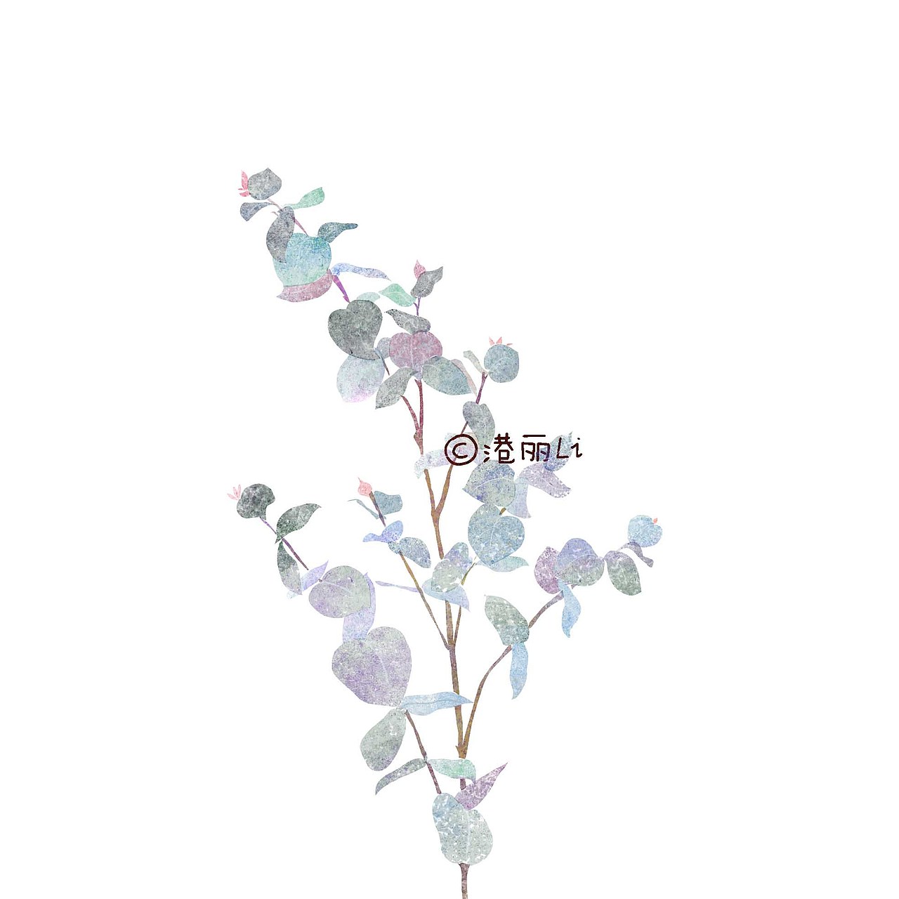 植物插画系列（图ZMTEzMTk1MDg0） - 艺术插画 - 站酷设计师Gangli港丽丽原创素材 - 站酷ZCOOL