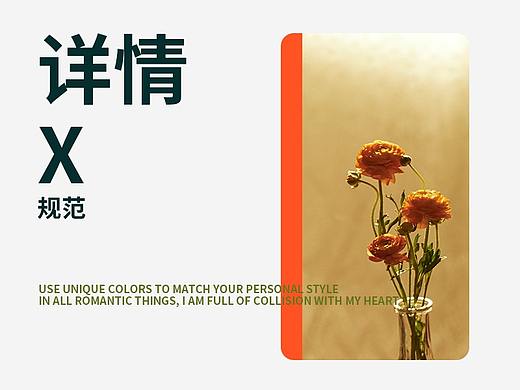 详情页/品牌