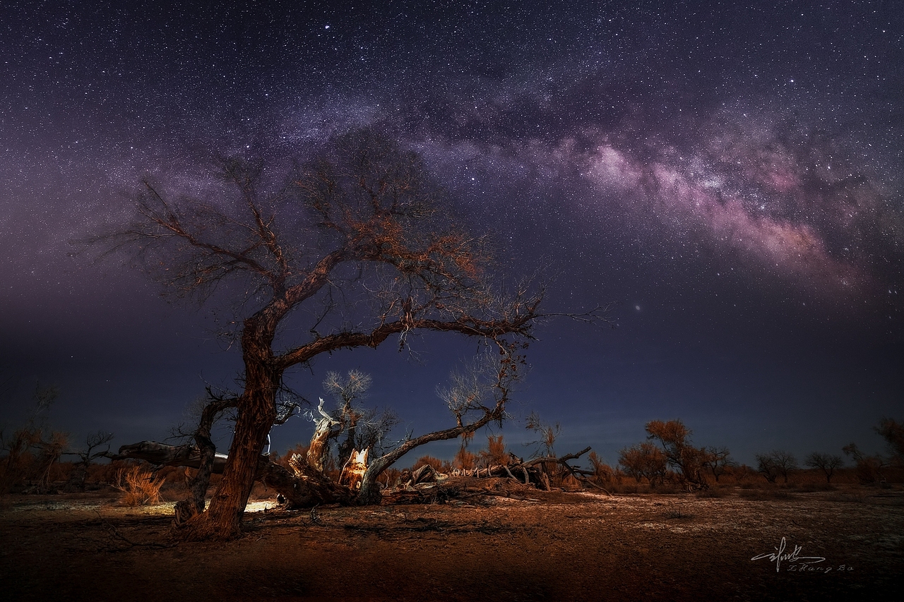 胡杨星空（图ZMjI1OTUxMjU2） - 风光摄影 - 站酷设计师张波摄影原创素材 - 站酷ZCOOL