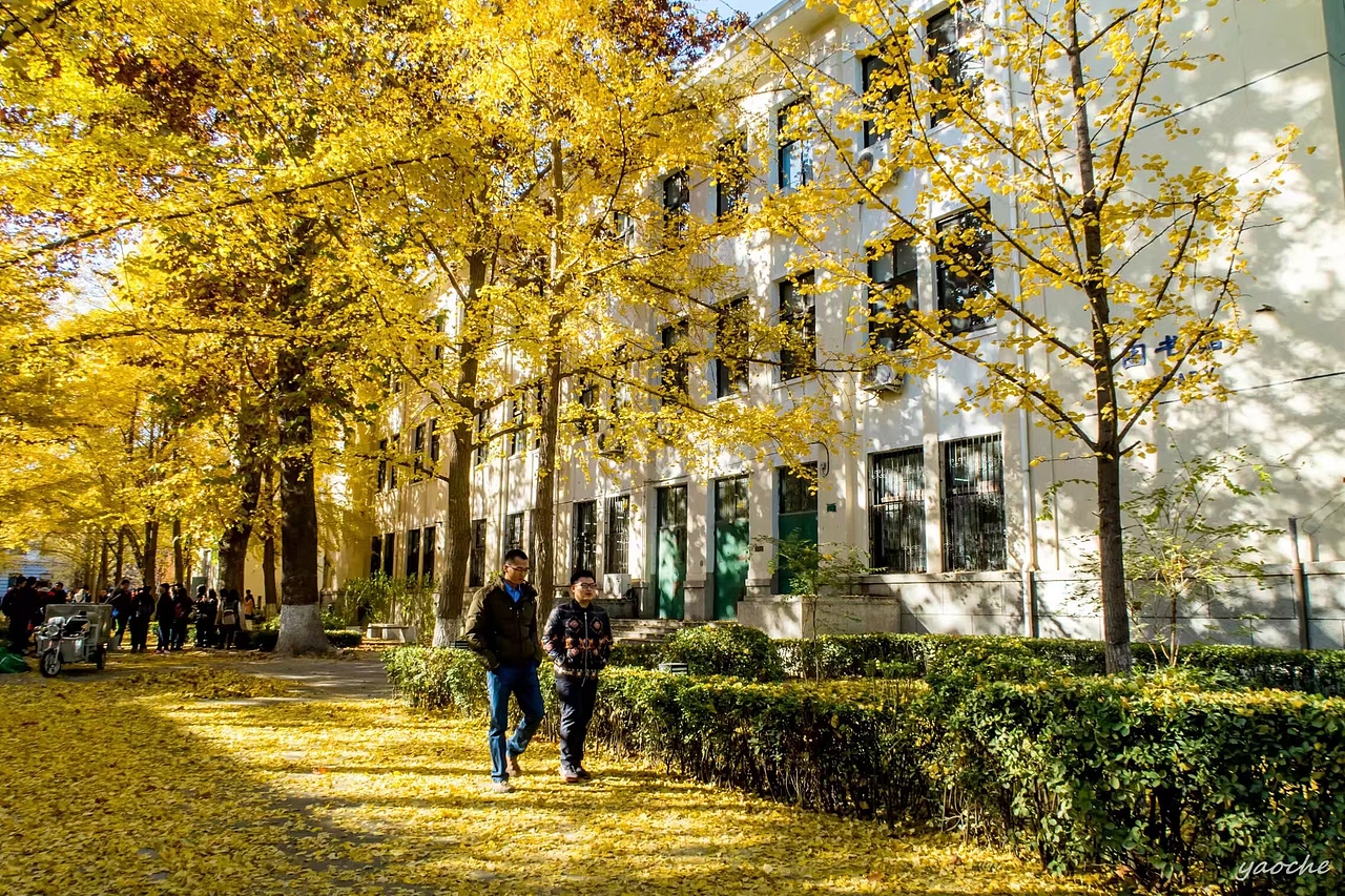 风景（图ZOTQ0MjM3MDA=） - 风光摄影 - 站酷设计师姚澈Cheyo原创素材 - 站酷ZCOOL