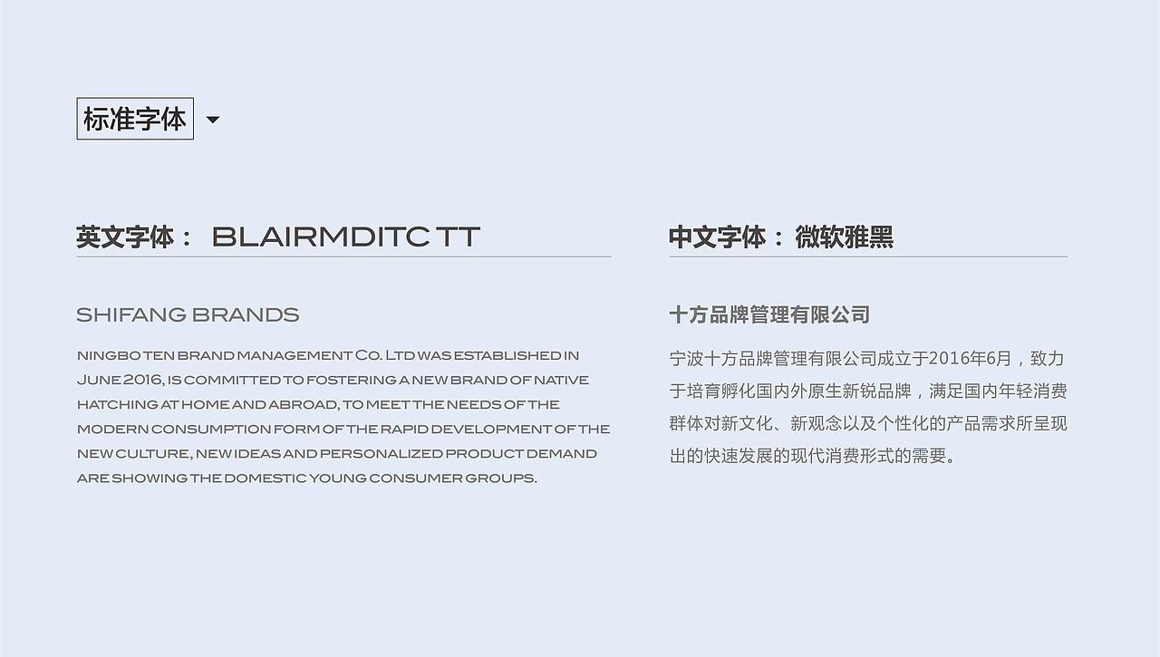 品牌公司VI/Logo设计（图ZMTA5MDA0NjQ0） - 品牌 - 站酷设计师风云岁月8341原创素材 - 站酷ZCOOL