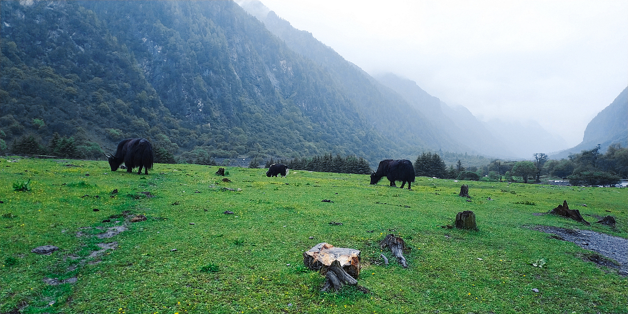 云端之旅（图ZMTE3NzAzNzQw） - 风光摄影 - 站酷设计师kabka原创素材 - 站酷ZCOOL