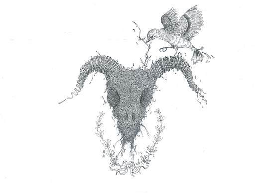 《死生》线描插画