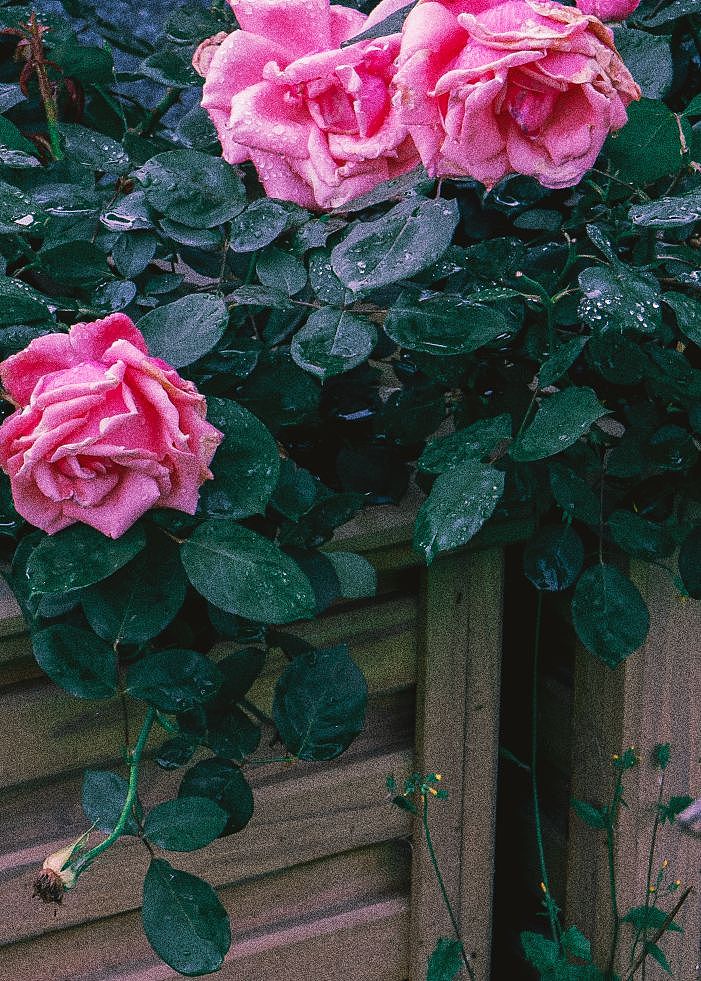 保持热爱,期待进步。