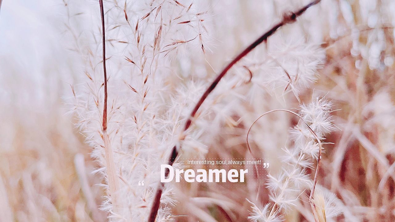 摄影作品4-花草/雨露