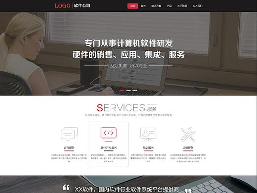 软件公司企业网站首页   扁平化风格网站