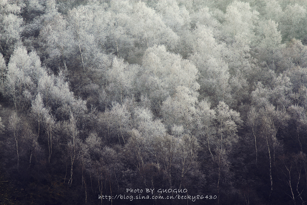 跟我约图的时候跟我说,你的图片好多,而且跨度很大,什么风格的都有