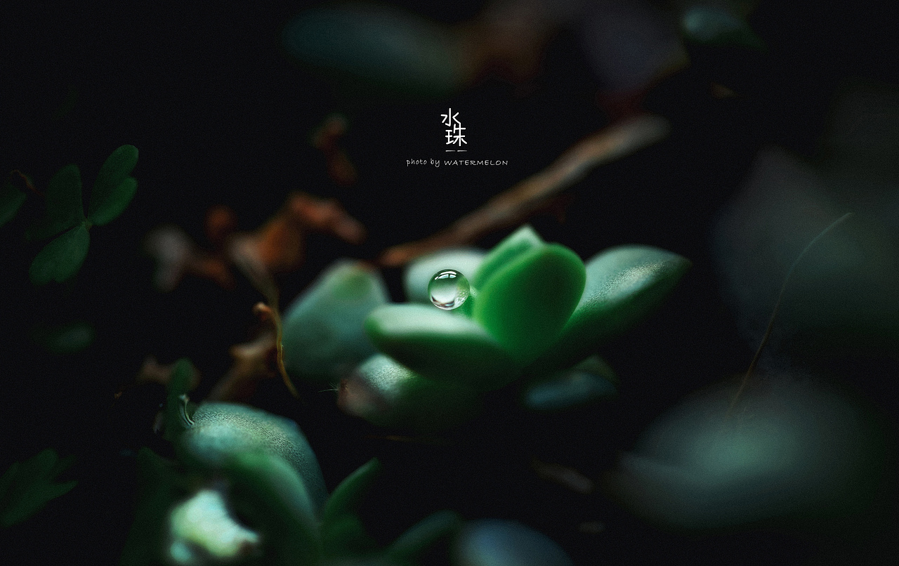 水珠