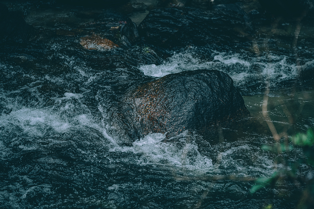 西南以南 | 春季 | 山林 | 溪流