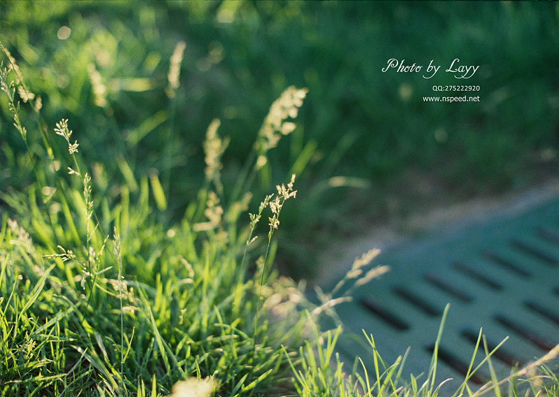 菲林《若无其事》Part - 2 # layy的时光机 #