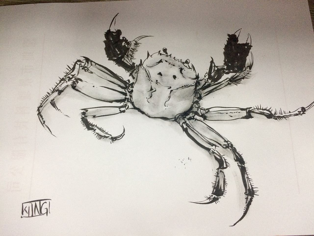 花卉植物动物线条水墨画