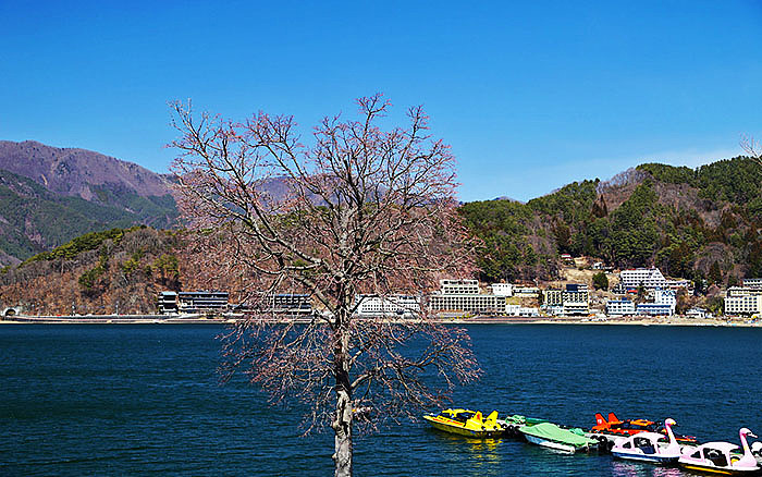 河口湖之美（图ZMjc3Nzc3MDg=） - 风光摄影 - 站酷设计师pigmantse原创素材 - 站酷ZCOOL