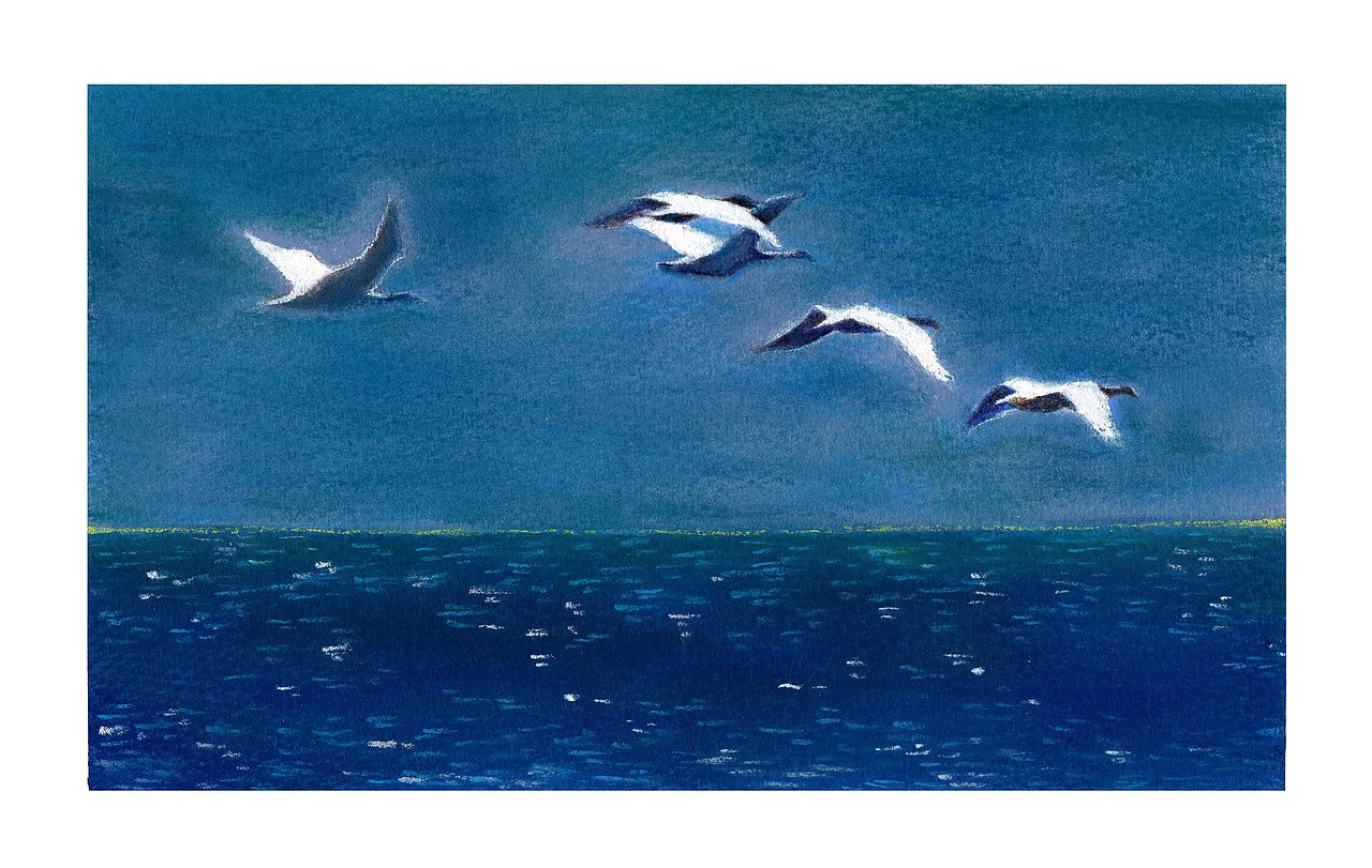 一组练习（图ZNjQ4NDAwOTY=） - 创作习作 - 站酷设计师桔芊原创素材 - 站酷ZCOOL