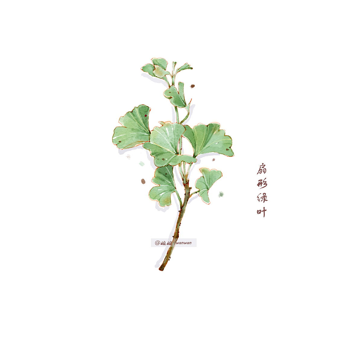 ps 仿水彩 绿叶合集（图ZMjE5NjM2Njk2） - 艺术插画 - 站酷设计师十一水彩原创素材 - 站酷ZCOOL