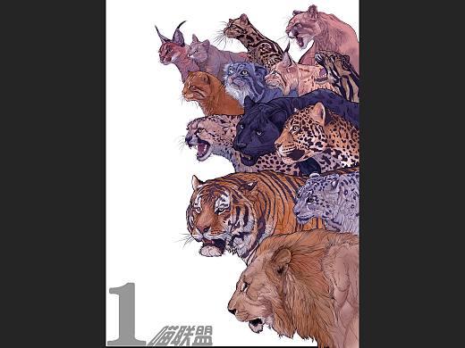 动物插画《喵联盟》完结