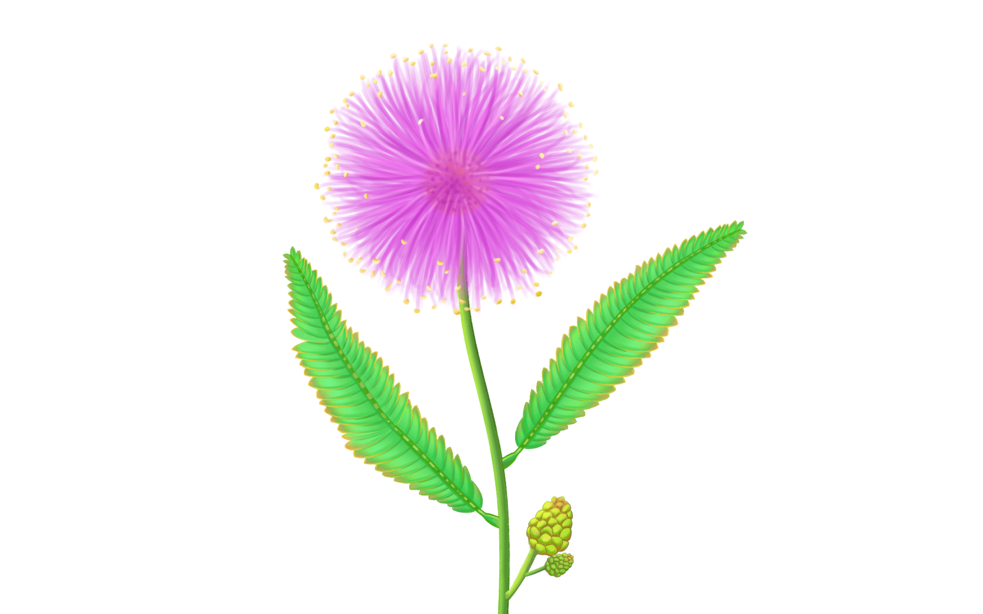 机器人表情动画设计-小精灵系列（图ZMjM4NDgxMTg4） - 艺术插画 - 站酷设计师饭安安Fananan原创素材 - 站酷ZCOOL