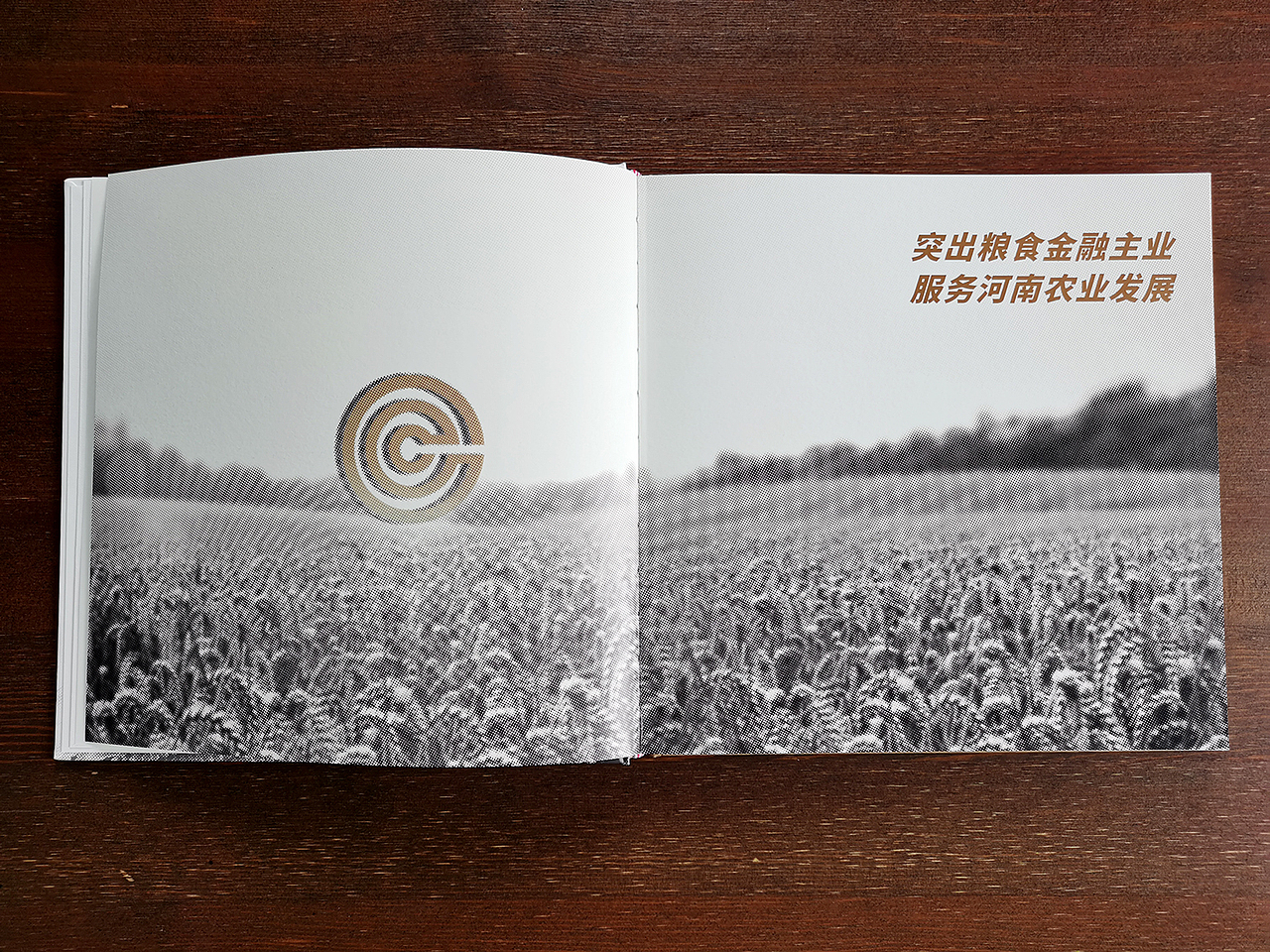 纪念册（图ZMjkyNTcxMjcy） - 书籍/画册 - 站酷设计师限号单眼皮原创素材 - 站酷ZCOOL