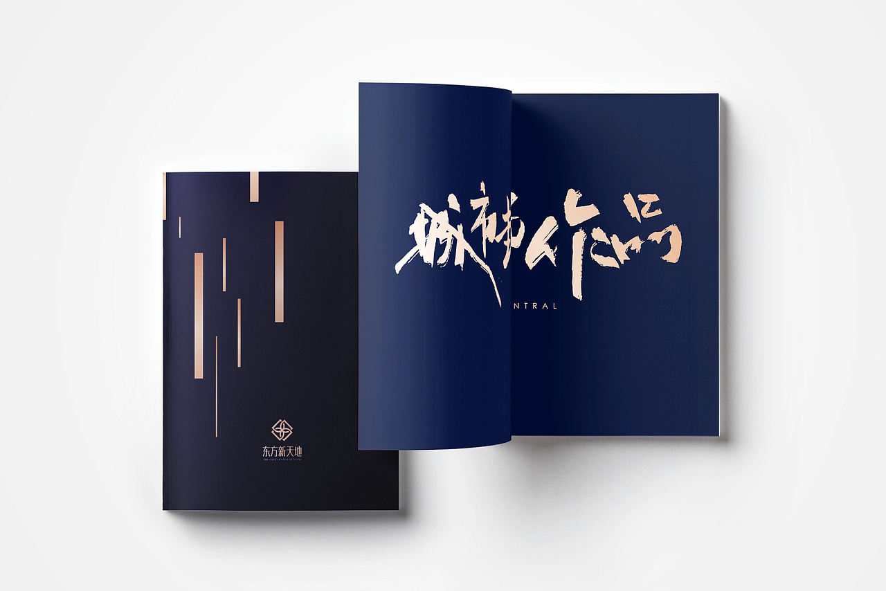 画册设计 | 地产楼书