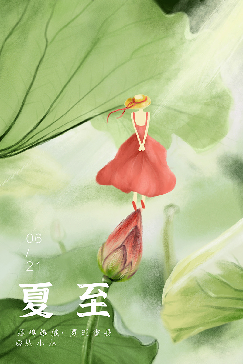 夏至|插画手绘