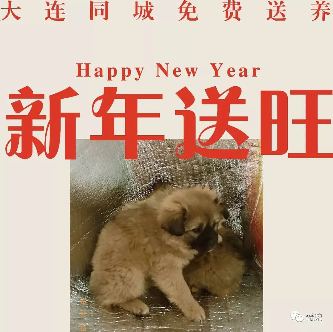 【新年送旺】（图ZMTA0OTY3ODUy） - 品牌 - 站酷设计师希荣原创素材 - 站酷ZCOOL
