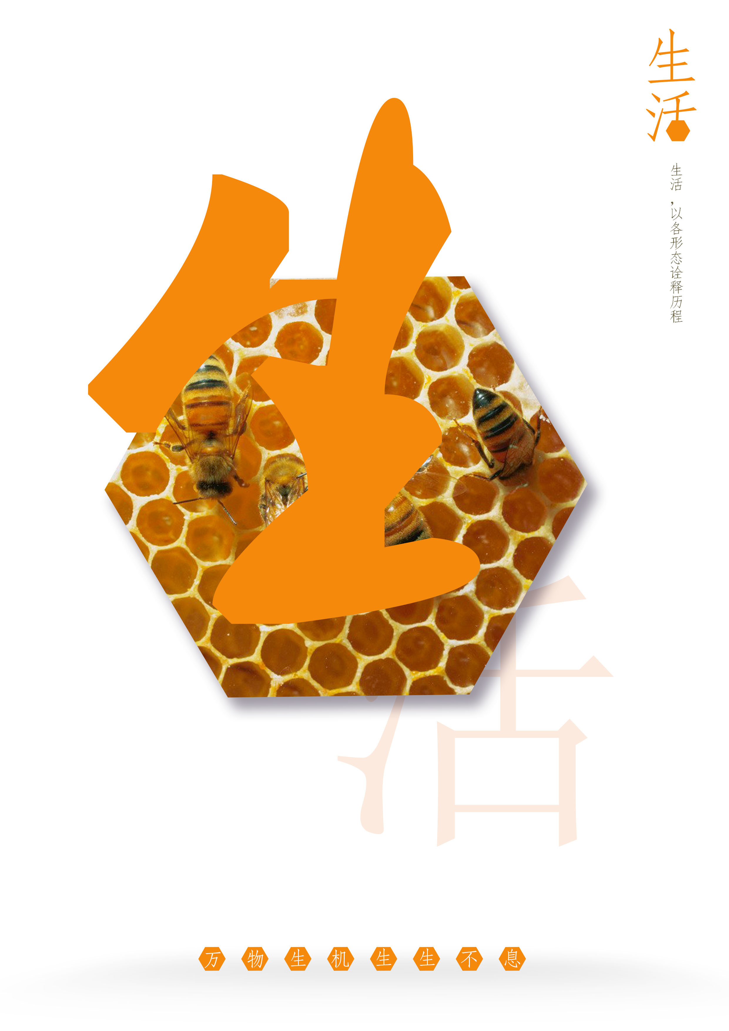 生生不息|平面|海报|小薇于蒙 - 原创作品 - 站酷 (zcool)