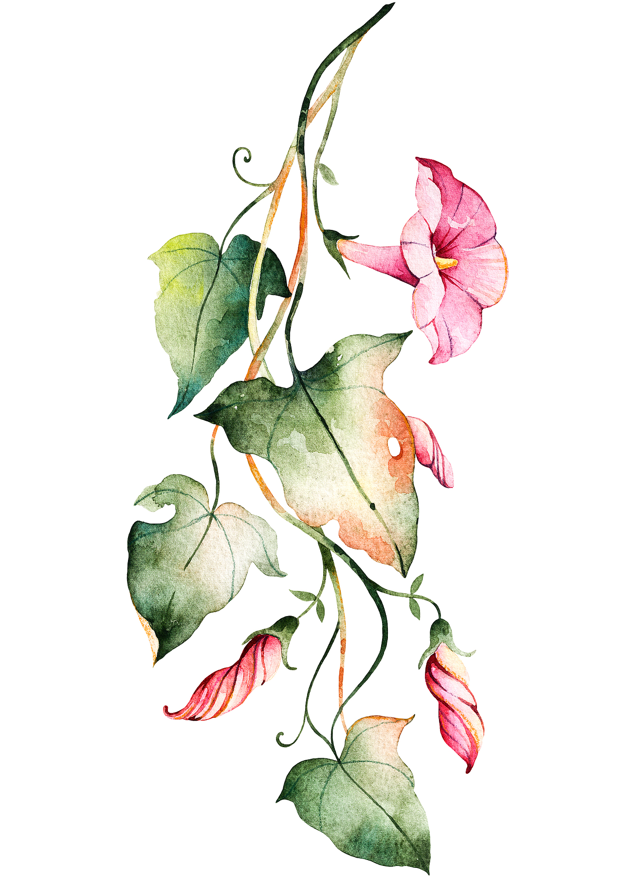 一组小清新（图ZMTAwMDI5MDI0） - 创作习作 - 站酷设计师时光与MIAO原创素材 - 站酷ZCOOL