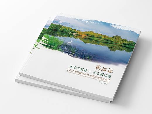 靳江源田园综合体项目投资建议书