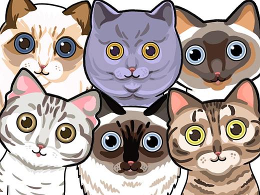 猫家族大图鉴 