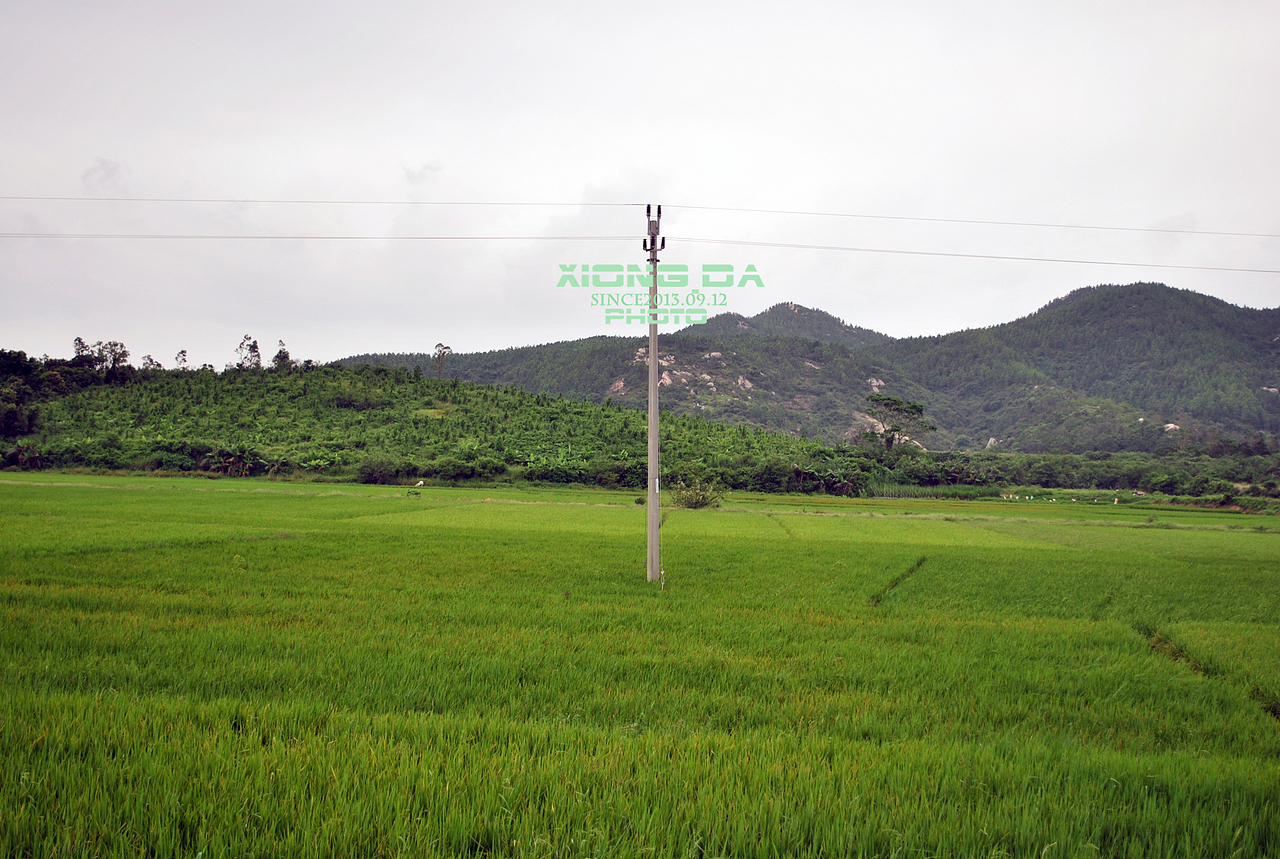 中秋家乡行（图ZMTE1ODY3ODQ=） - 风光摄影 - 站酷设计师陈劲烘原创素材 - 站酷ZCOOL