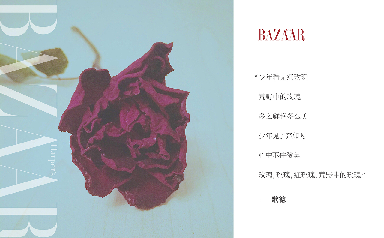 荒野玫瑰家居服概念先导（图ZMTg5NTk1MDM2） - 品牌 - 站酷设计师他又不是银泰原创素材 - 站酷ZCOOL