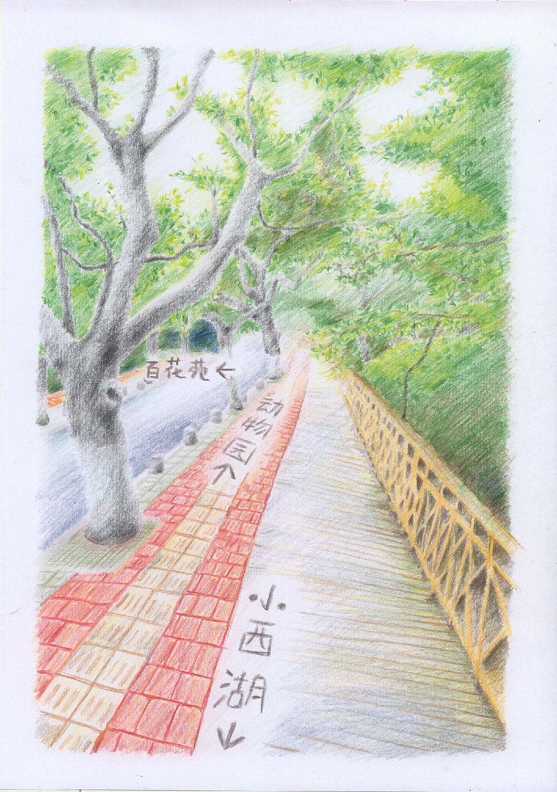青岛旅行绘本精选集（图ZNDYyMTE1Mg==） - 绘本 - 站酷设计师梁妍工作室原创素材 - 站酷ZCOOL