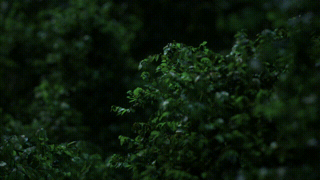 第二周透材质总结（图ZMjQ1NDI0Njg4） - 其他三维 - 站酷设计师给我点颜色瞧瞧原创素材 - 站酷ZCOOL