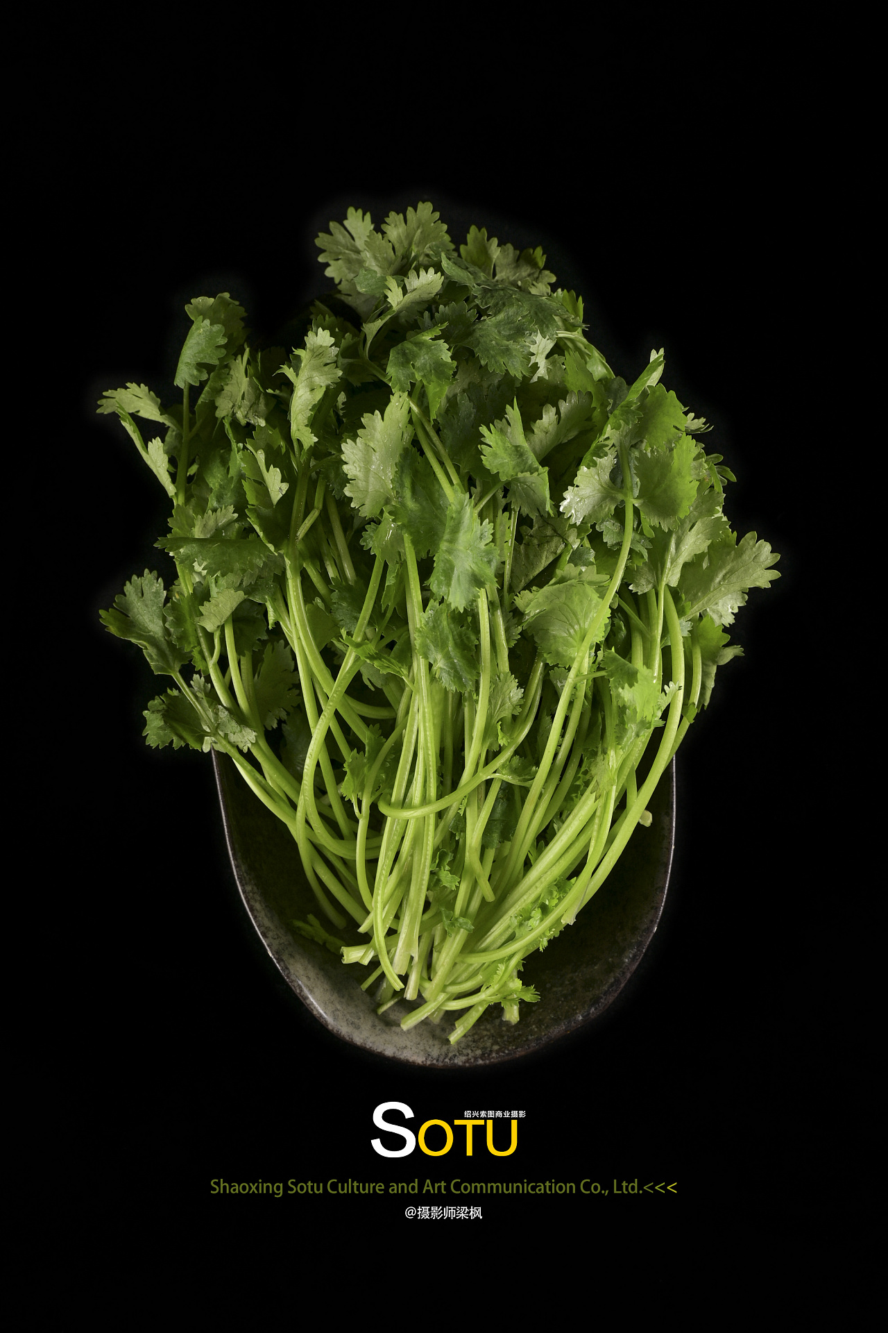 火锅/美食/菜肴拍摄/绿色蔬菜/绍兴菜肴美食|摄影|美食摄影|摄影师
