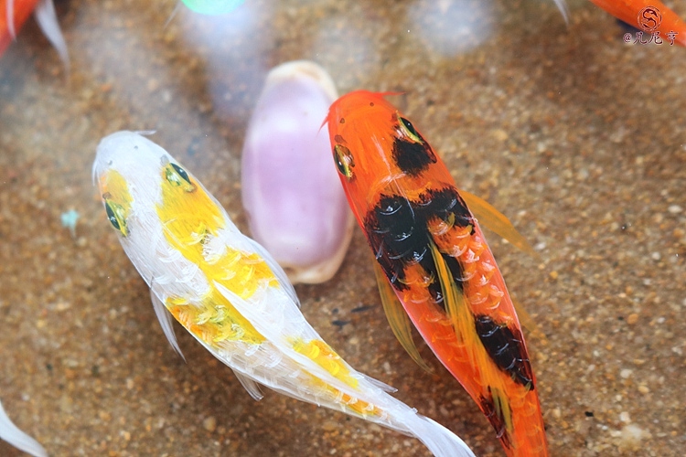 锦鲤池（图ZMzg2OTAxMDA=） - 其他手工艺 - 站酷设计师凡尼亨原创素材 - 站酷ZCOOL