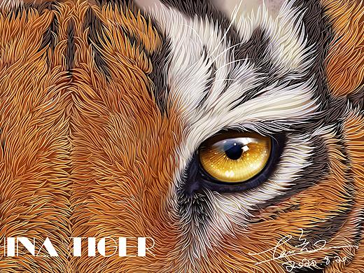 动物插画《华南虎 VS北极熊》