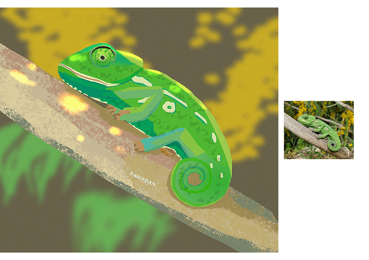 2021年8月速涂练习|食物&动物