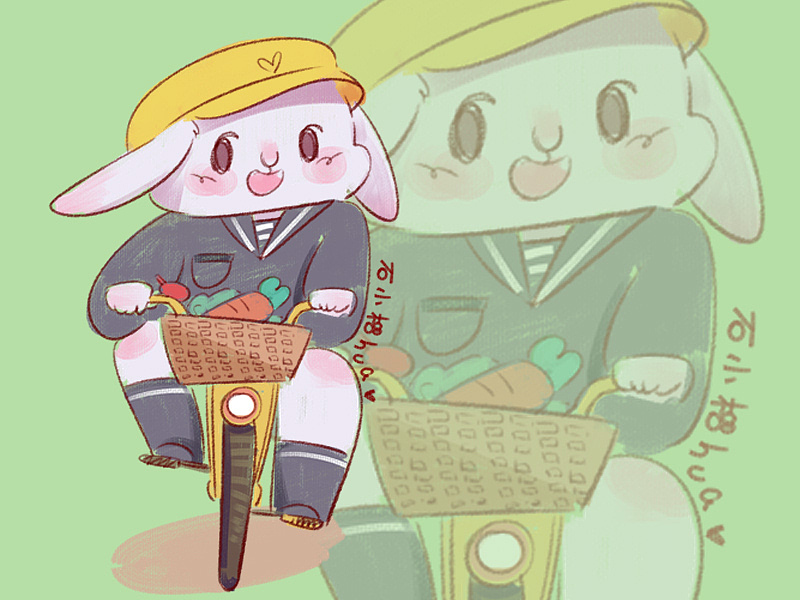 关于兔兔的那些想法（图ZMjAwNzA2NTU2） - 绘本 - 站酷设计师石小榴HUA原创素材 - 站酷ZCOOL