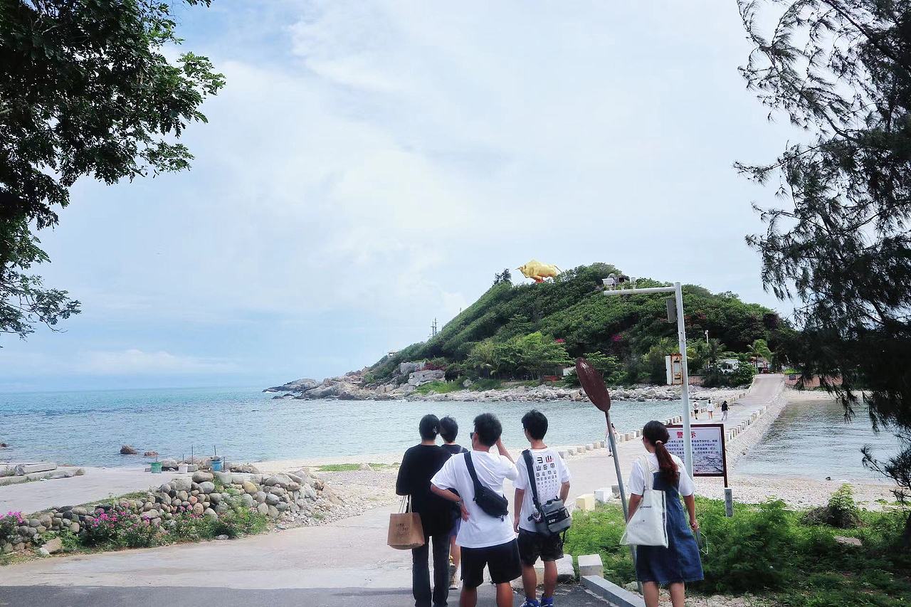 西島視覺(jué)VI設(shè)計(jì)（西島計(jì)劃）（圖ZMzE0MDQ5Nzgw） - 品牌 - 站酷設(shè)計(jì)師洛神花芙原創(chuàng)素材 - 站酷ZCOOL