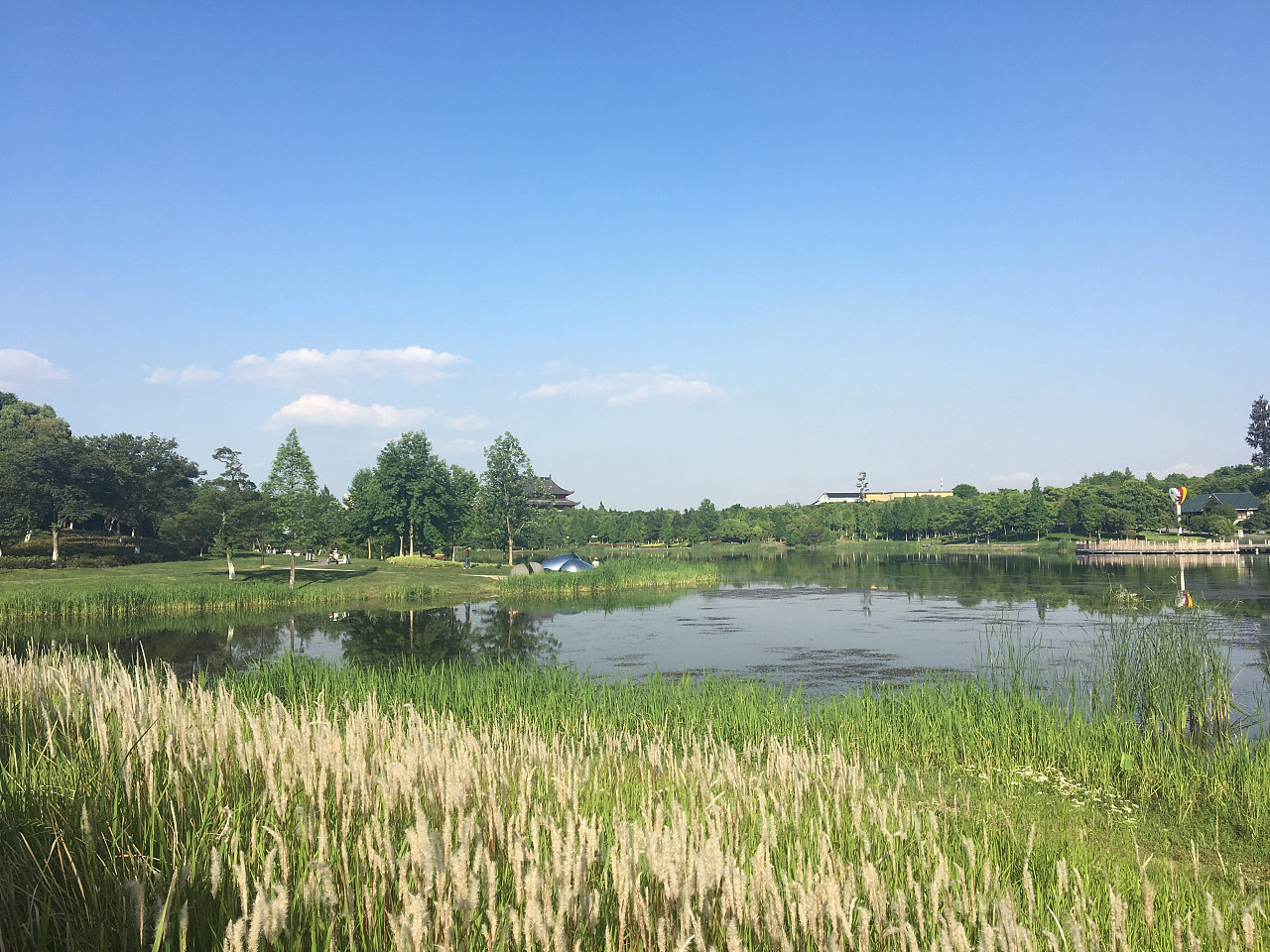 能放松身心的地方