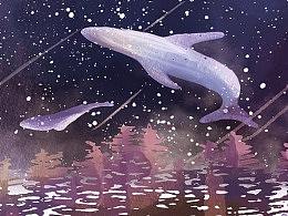 关于海洋